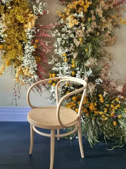 Thonet Spisebordsstole<209 Armstol, ask fra