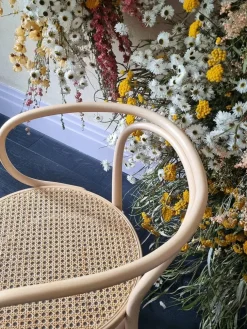 Thonet Spisebordsstole<209 Armstol, ask fra