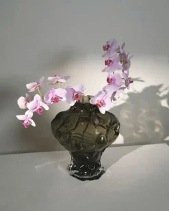 Hein Studio Vaser<Ammonit Vase, new smoke fra