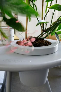 Fatboy Sideborde Og Små Borde<Bakkes bord fra