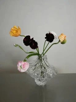 Hein Studio Vaser<Canyon Vase Large, clear fra