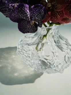 Hein Studio Vaser<Canyon Vase Large, clear fra