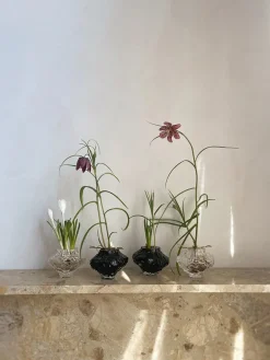 Hein Studio Vaser<Canyon Vase Mini, smoke fra