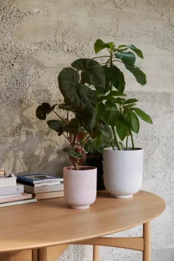 &Tradition Vaser<Collect Planter SC72 fra