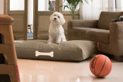 Fatboy Sækkestole<Doggielounge L Canvas Recycled - Hundekurv fra