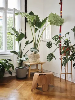 Vitra Figurer<Eames Elephant Plywood fra