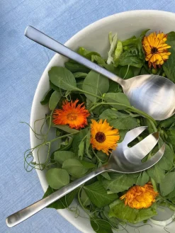 Kay Bojesen Denmark Service<Grand Prix Salatbestik i mat stål, lille fra Kay Bojesen