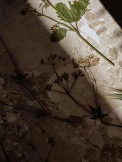 Wabi Sabi Nordic Sofaborde<Konkylie Sofabord, marrone fra