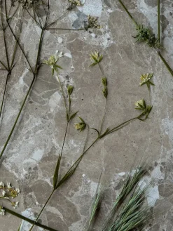 Wabi Sabi Nordic Sofaborde<Konkylie Sofabord, marrone fra