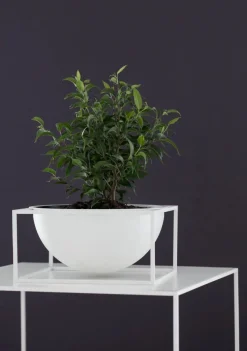 Audo Copenhagen Service<Kubus Bowl Centerpiece Large, hvid fra