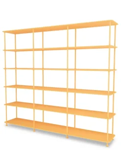 Montana Reoler<Free Reol 555000