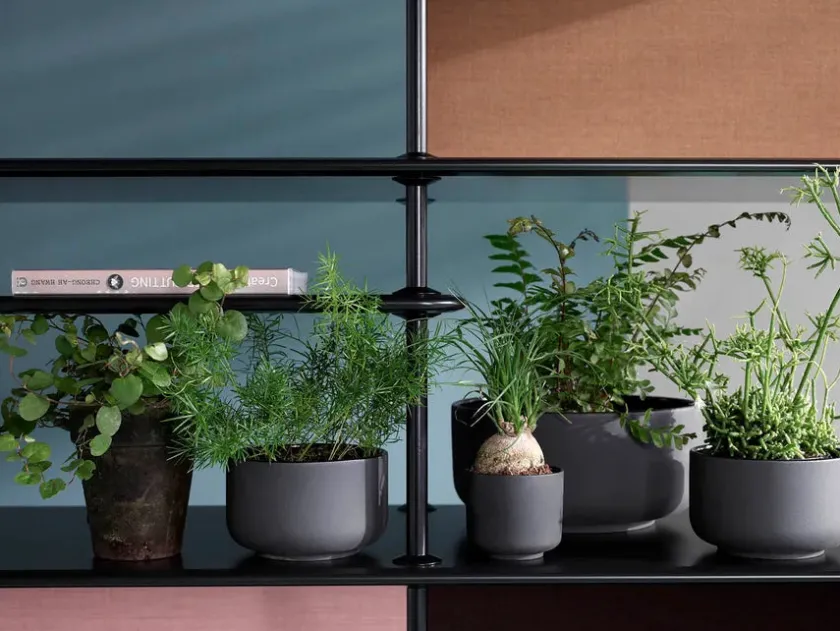 Montana Reoler<Free Reol 542000, chrome