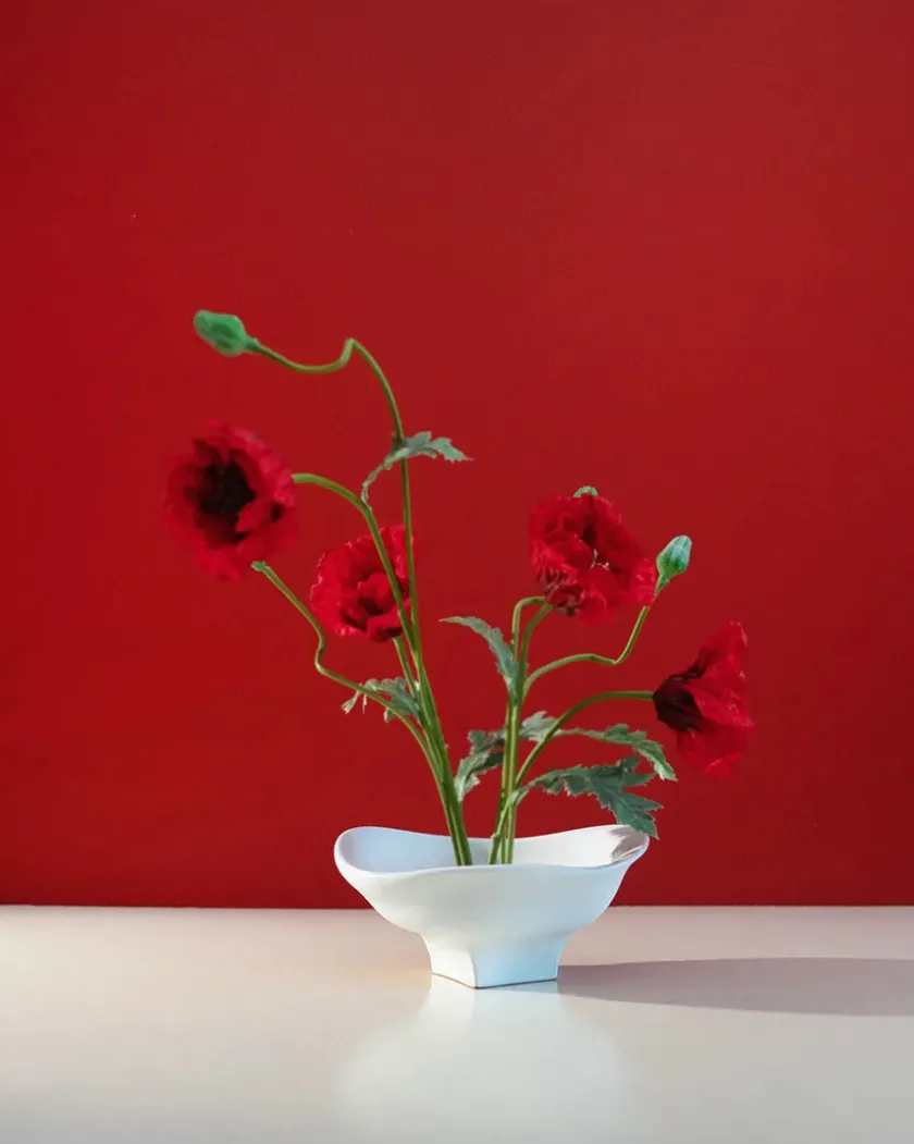 Hein Studio Service<Nami Bowl Large fra