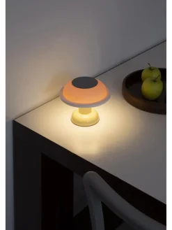 SOWDEN Portable Lamper|Spots<PL4 Portable Lamp fra Light