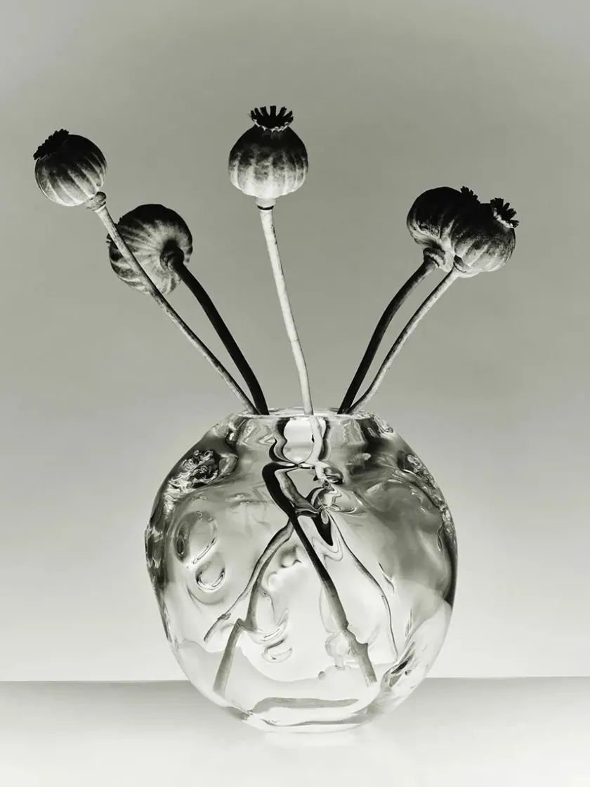 Louise Roe Vaser<S.R. Vintage Vase Deco Clear fra