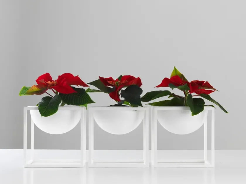 Audo Copenhagen Service<Stor Kubus Skål, sort fra