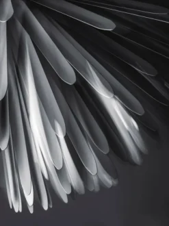 Foscarini Pendler|Spots<Sun - Light of Love Pendel fra