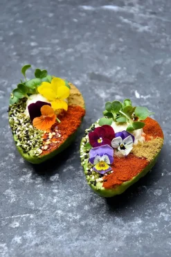 New Mags Bøger|Bøger<The Avocado Book fra