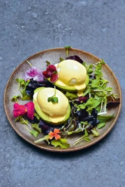 New Mags Bøger|Bøger<The Avocado Book fra