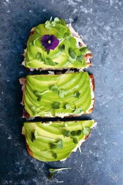 New Mags Bøger|Bøger<The Avocado Book fra