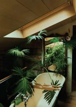 New Mags Bøger|Bøger<The Kinfolk Garden fra