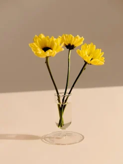 HAY Vaser<Tiny Vase fra