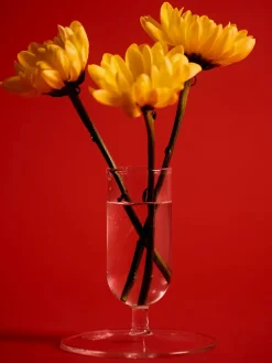 HAY Vaser<Tiny Vase fra